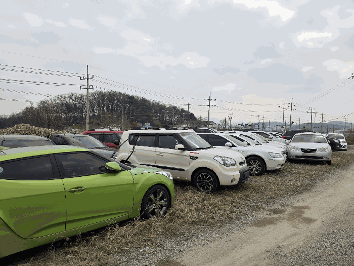 기호(3)토지 전경