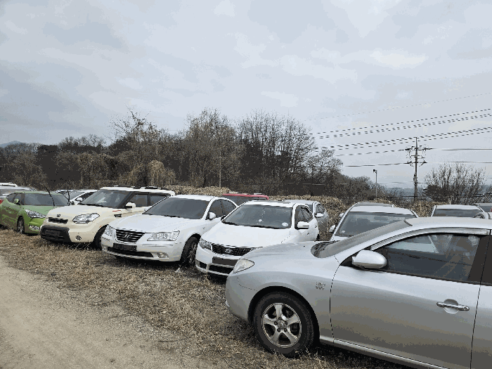 기호(3)토지 전경