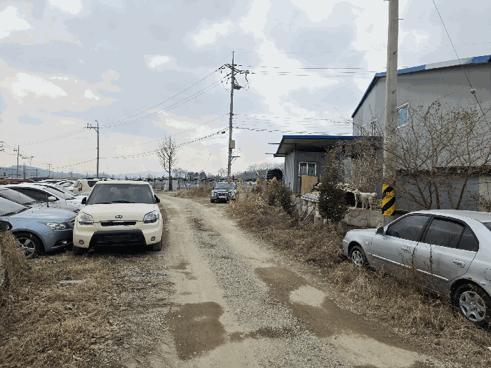 기호(1)토지 남측 부분 전경