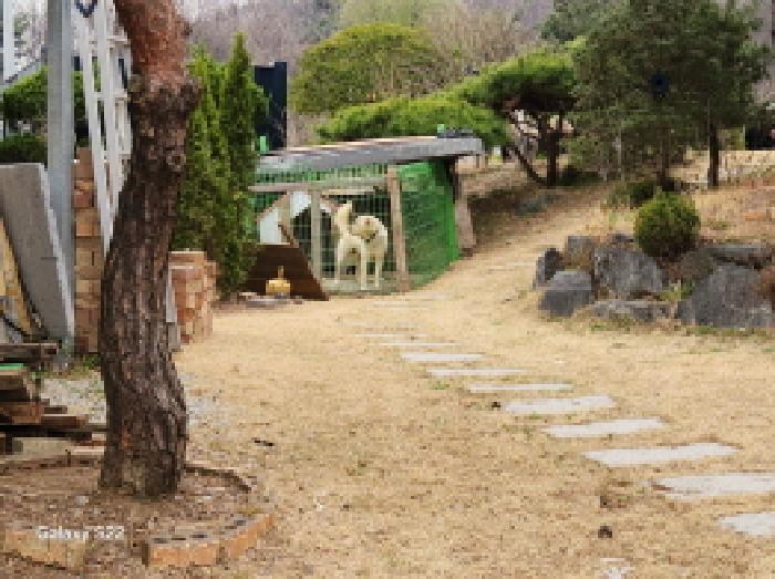 목록1. 일부 현황
(개집)