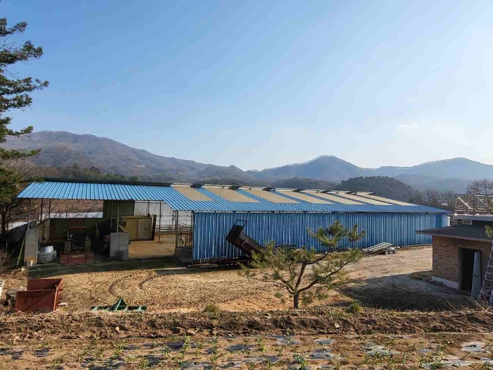 제시 목록 2 부동산