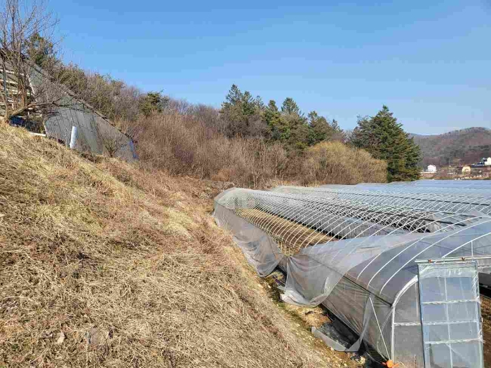 제시 목록 6 부동산