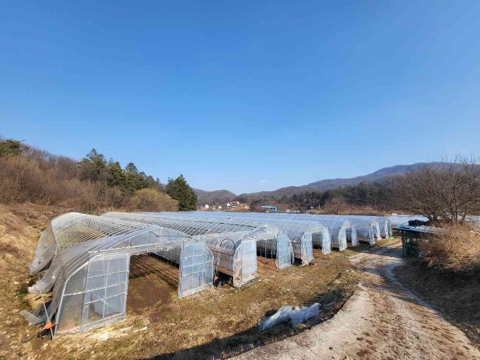 제시 목록 6 부동산