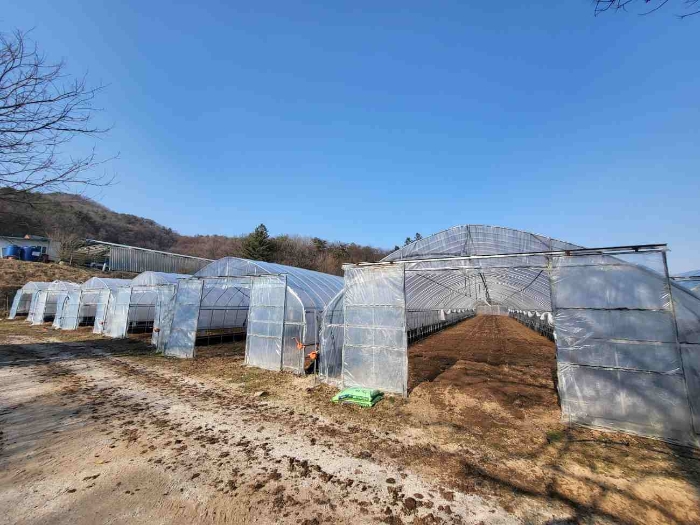 제시 목록 6 부동산