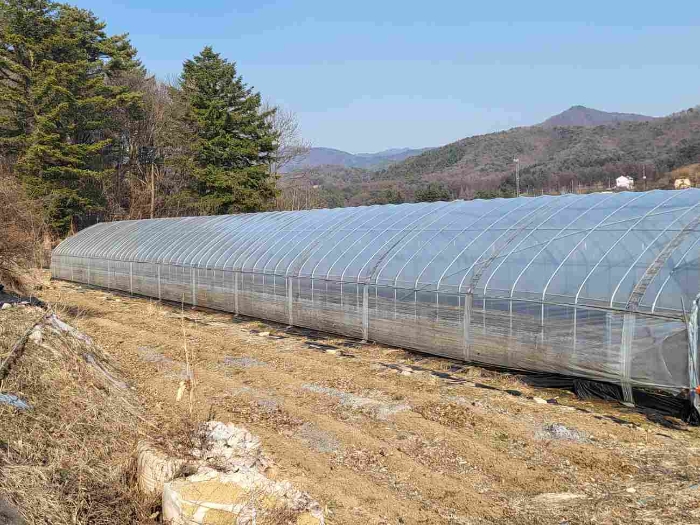 제시 목록 6 부동산(인근 토지와 겹치는 하우스)