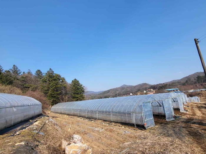 제시 목록 6 부동산(인근 토지와 겹치는 하우스)