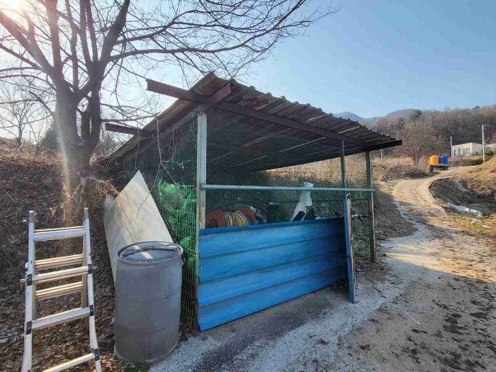 제시 목록 6 부동산(제시 외 시설물)