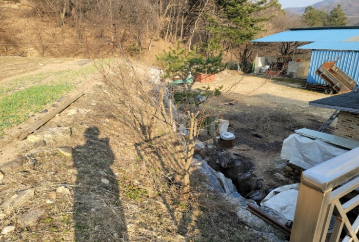 제시외 조경 및 수목