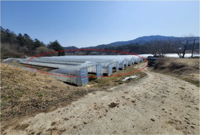 기호6 및 제시외 비닐하우스(북서측 촬영)