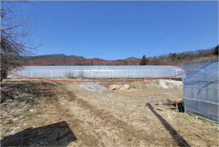 기호6(남측 촬영)