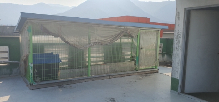 옥상의 제시외 부분