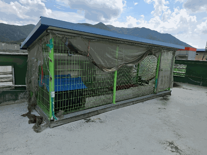 옥상 소재 견사