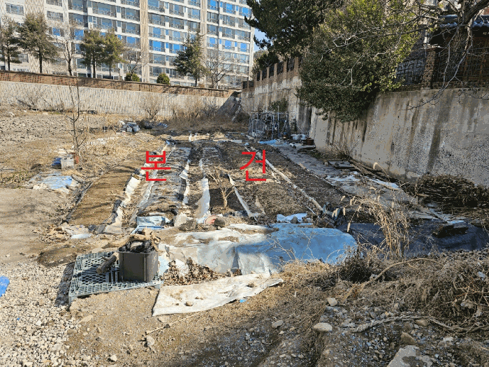 본건 남측 근경