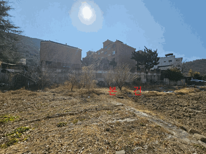 본건 서측 근경