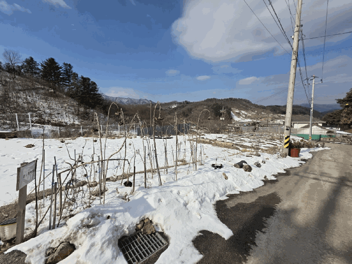 본 건 기 호 3 남 동 측 현 황