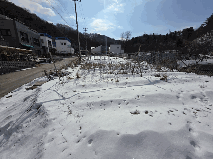 본 건 기 호 4 북 측 현 황