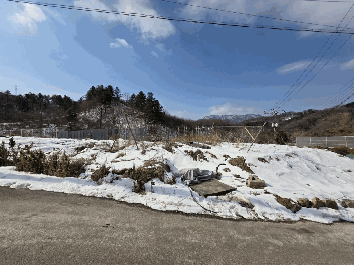 본 건 기 호 4 동 측 현 황