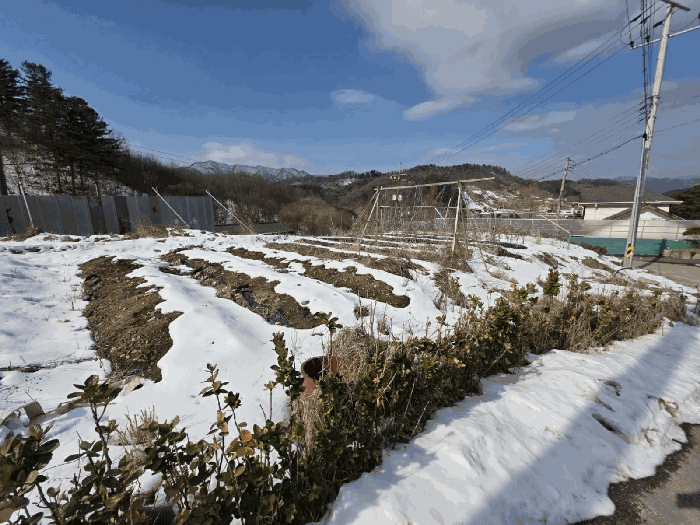 본 건 기 호 4 남 동 측 현 황