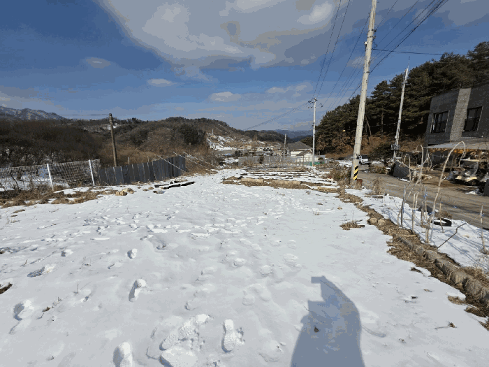 본 건 기 호 3 남 측 현 황