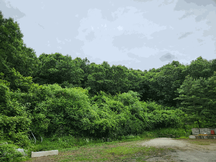 본건 기호(6) 일부 및 기호(7) 전경