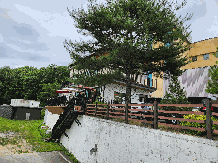 본건 기호(2) 지상의 제시외수목 ㉢