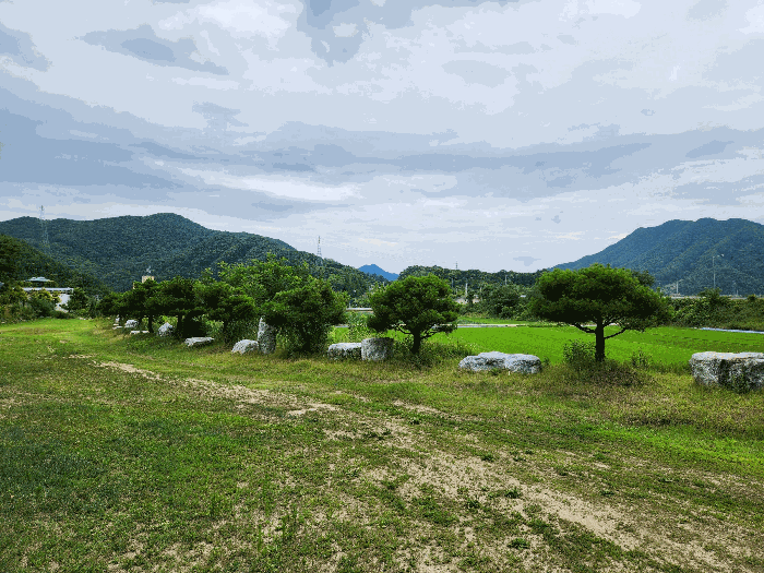 본건 기호(8) 지상의 제시외수목 ㉢