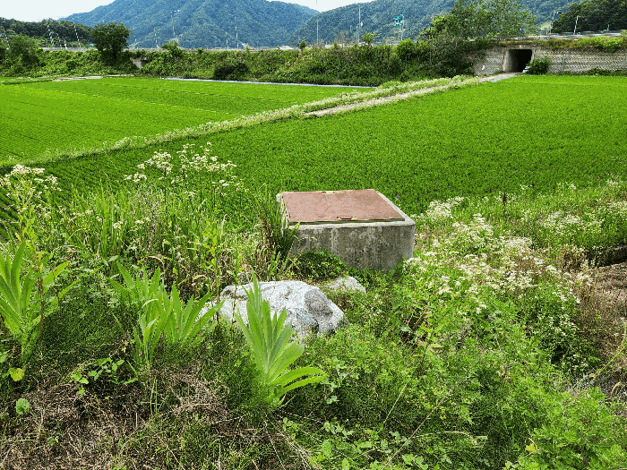 본건 기호(8) 지상의 제시외관정