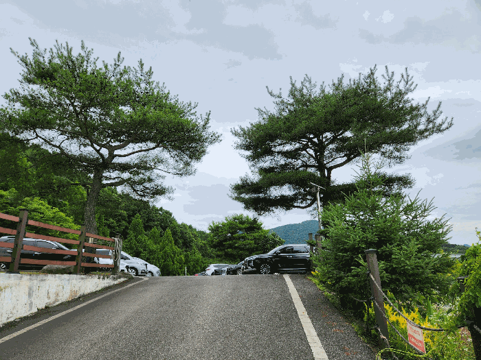 본건 기호(2) 지상의 제시외수목 ㉢