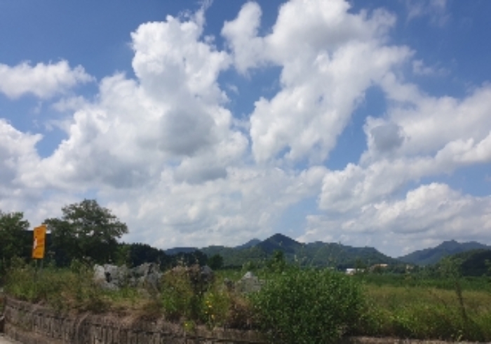 목적물 1~6번 전경