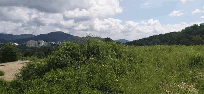 [ 본건(3) 전  경 ]