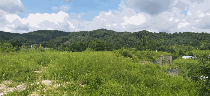 [ 본건(1) 전  경 ]