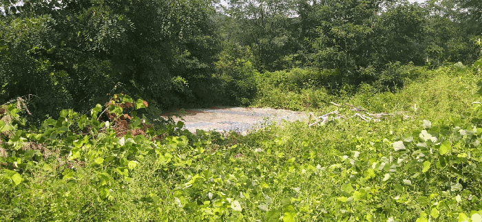 [ 본건(5) 전  경 ]