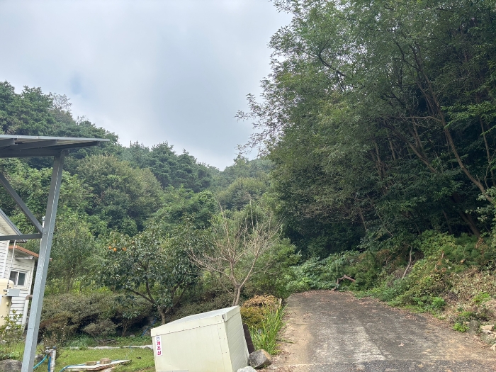 일련번호 5 전경