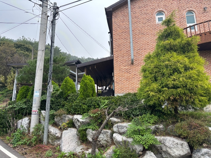 제시외 수목 등 전경