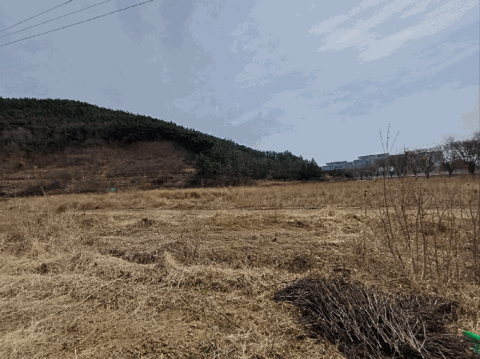 본건 기호(4~