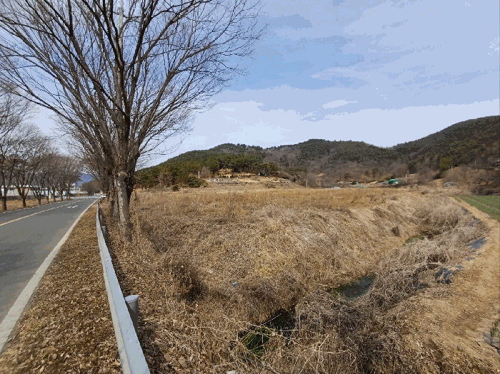 본건 기호(12