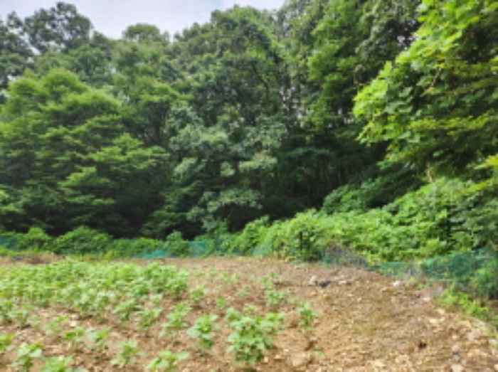 목록1,5 토지 전경
