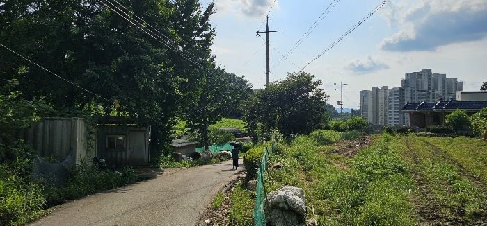 주변전경1