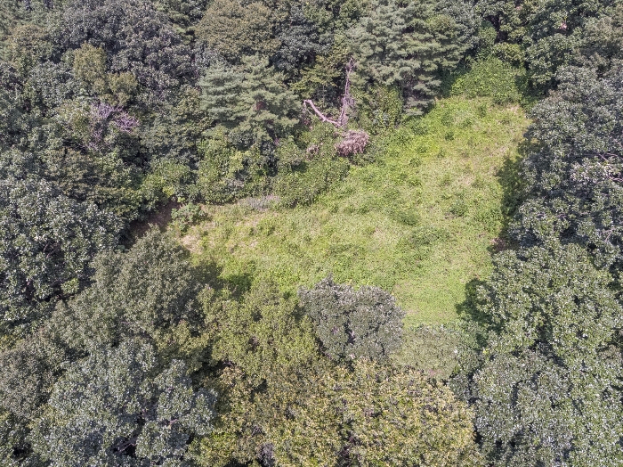 D 구역 항공사진(기호 3 토지내)(2)