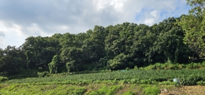 목록3,6 토지 전경