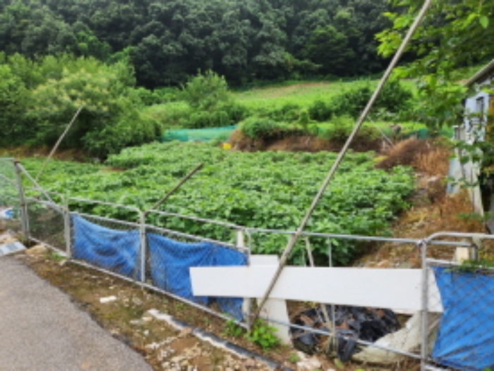 목록1,2 토지 전경