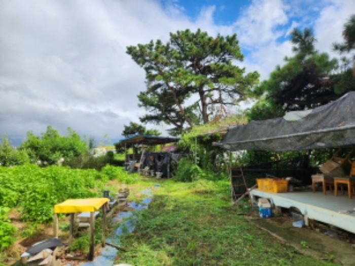 목록 3. 제시외 원두막