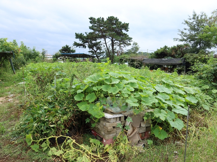 기호(3) 토지 전경