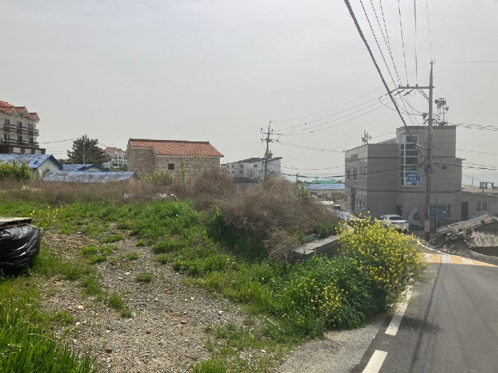 본건전경 - 남서측 촬영