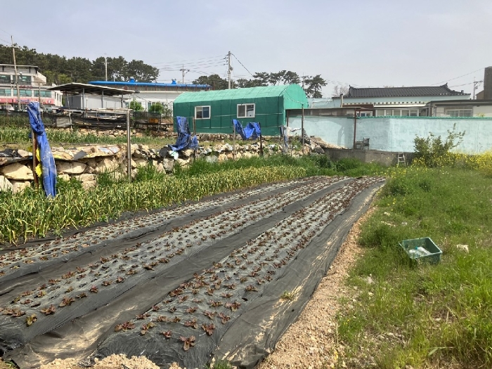 토지 기호(2) 전경 - 남서측 촬영