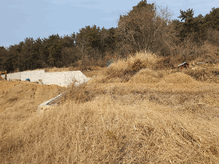 [본건전경(남동