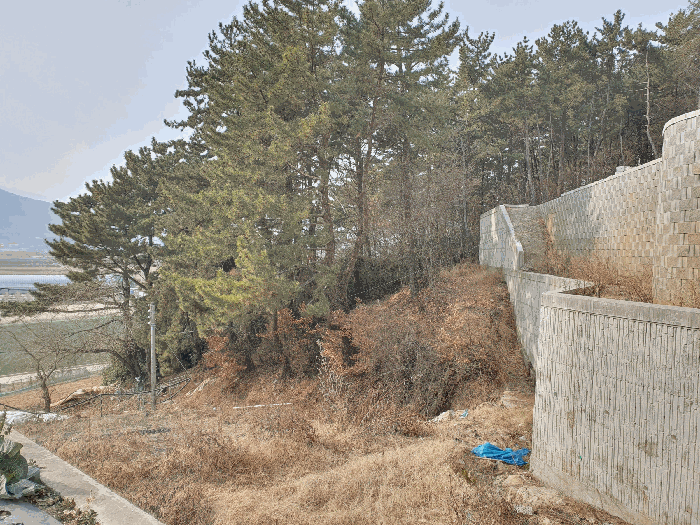 [본건전경(북동