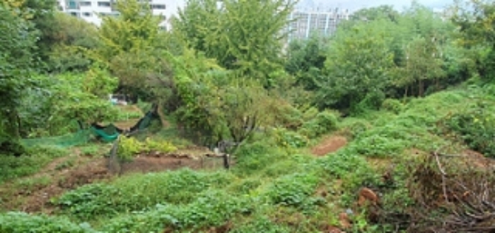 기호 16 전경