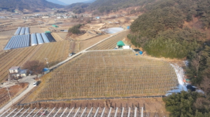 성기리 635-10,635-11 전경