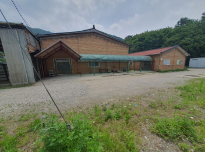 현장사진(토지,건물측면 전경)